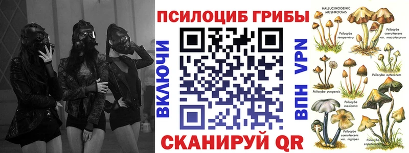 Купить закладки  Лесосибирск  Галлюциногенные грибы Cubensis 